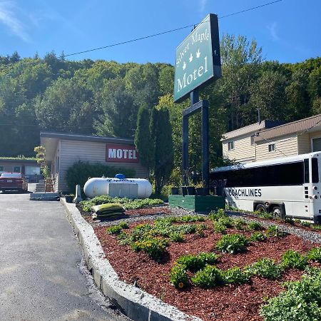 Silver Maple Motel Haliburton Exterior photo